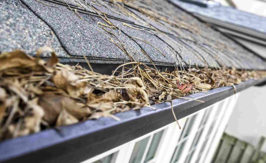 "Gutter Cleaning Tools in Action"