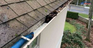 Built-in Gutter Systems in Surrey